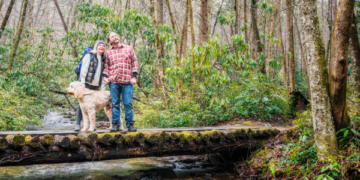 How Many Games Has Jackson County High School Won