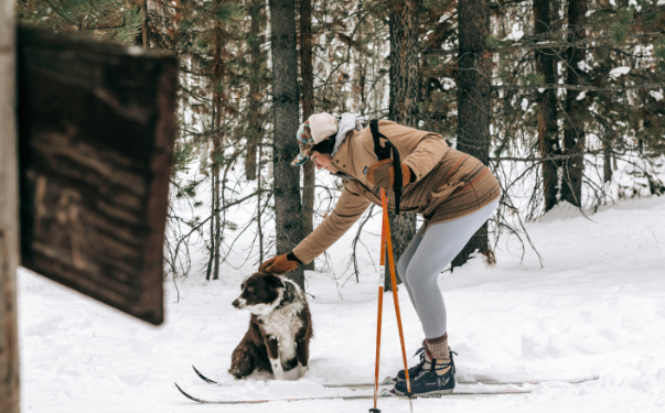 What Plants Can We Use For Do Sports Boliche