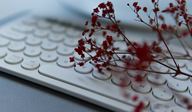 What are OS Optimized Defaults in Lenova Thinkpad Startup?