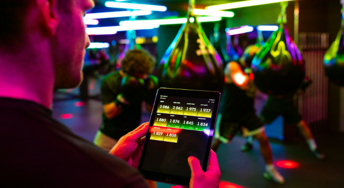 What are Some Common Subfields within Software