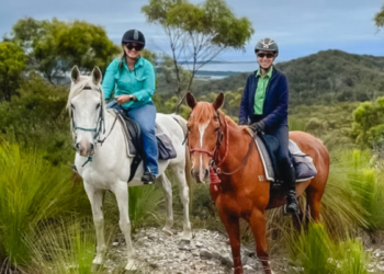 Moro Charlotte Thoroughbred