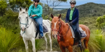 Moro Charlotte Thoroughbred